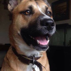 Meet your Posher, April